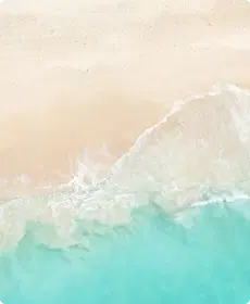 원본 샘플 이미지